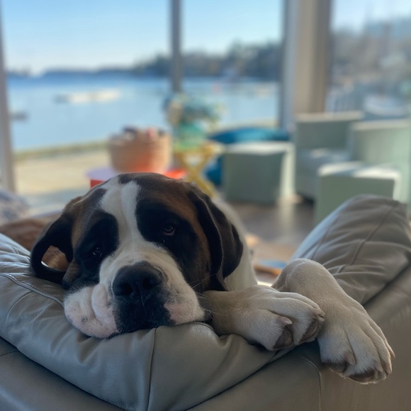 Meet your Posher, Emily - Picture 1 of 1